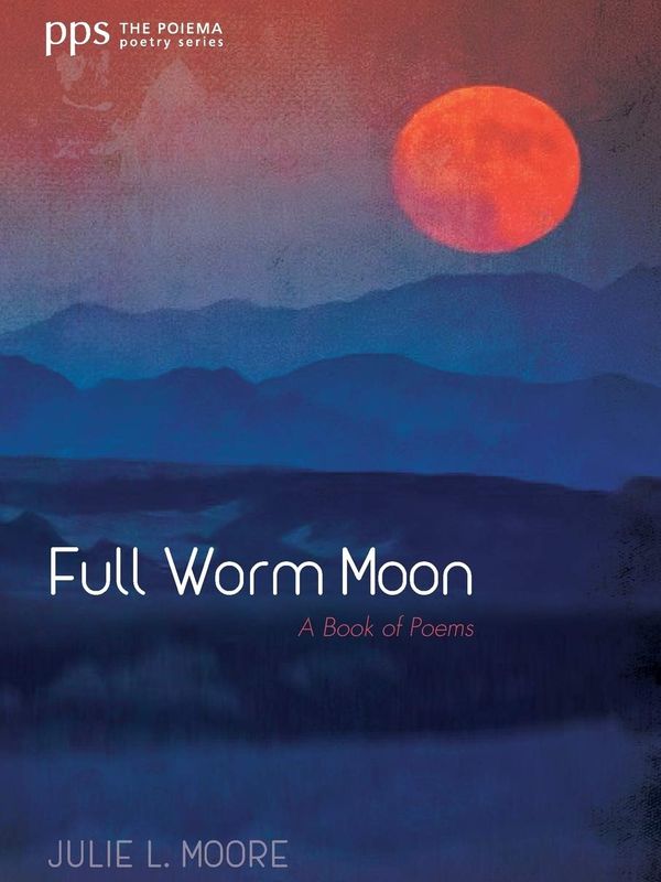 Full Worm Moon book cover